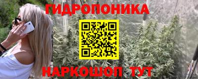 ALPHA PVP Нальчик