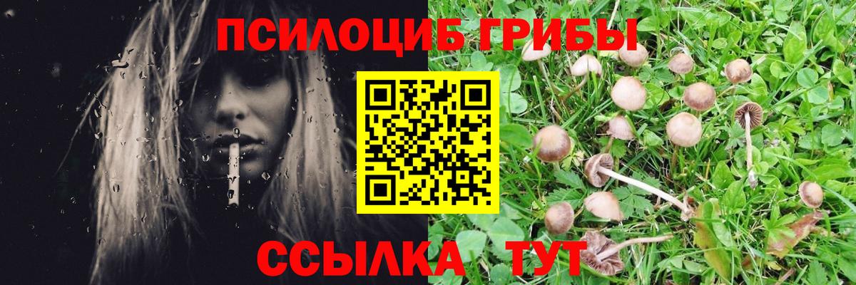 Псилоцибиновые грибы Magic Shrooms  Вход с VPN  Глазов 